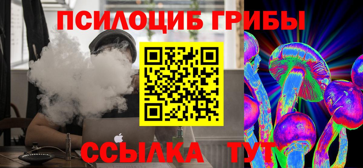 Подольск  Псилоцибиновые грибы Psilocybine cubensis  наркошоп  Вход с VPN 